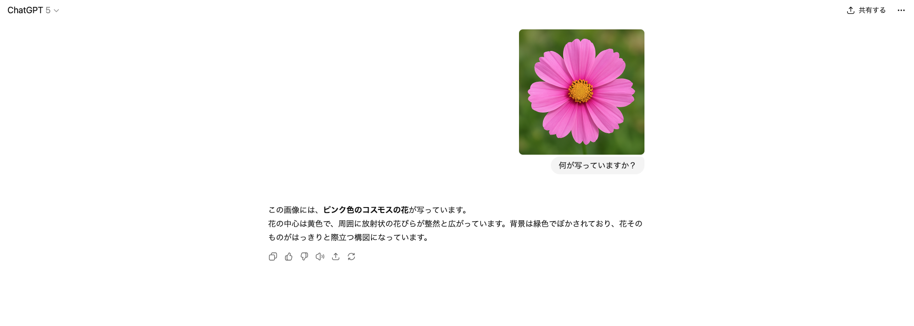 ChatGPTで画像を分析している様子を写した画像