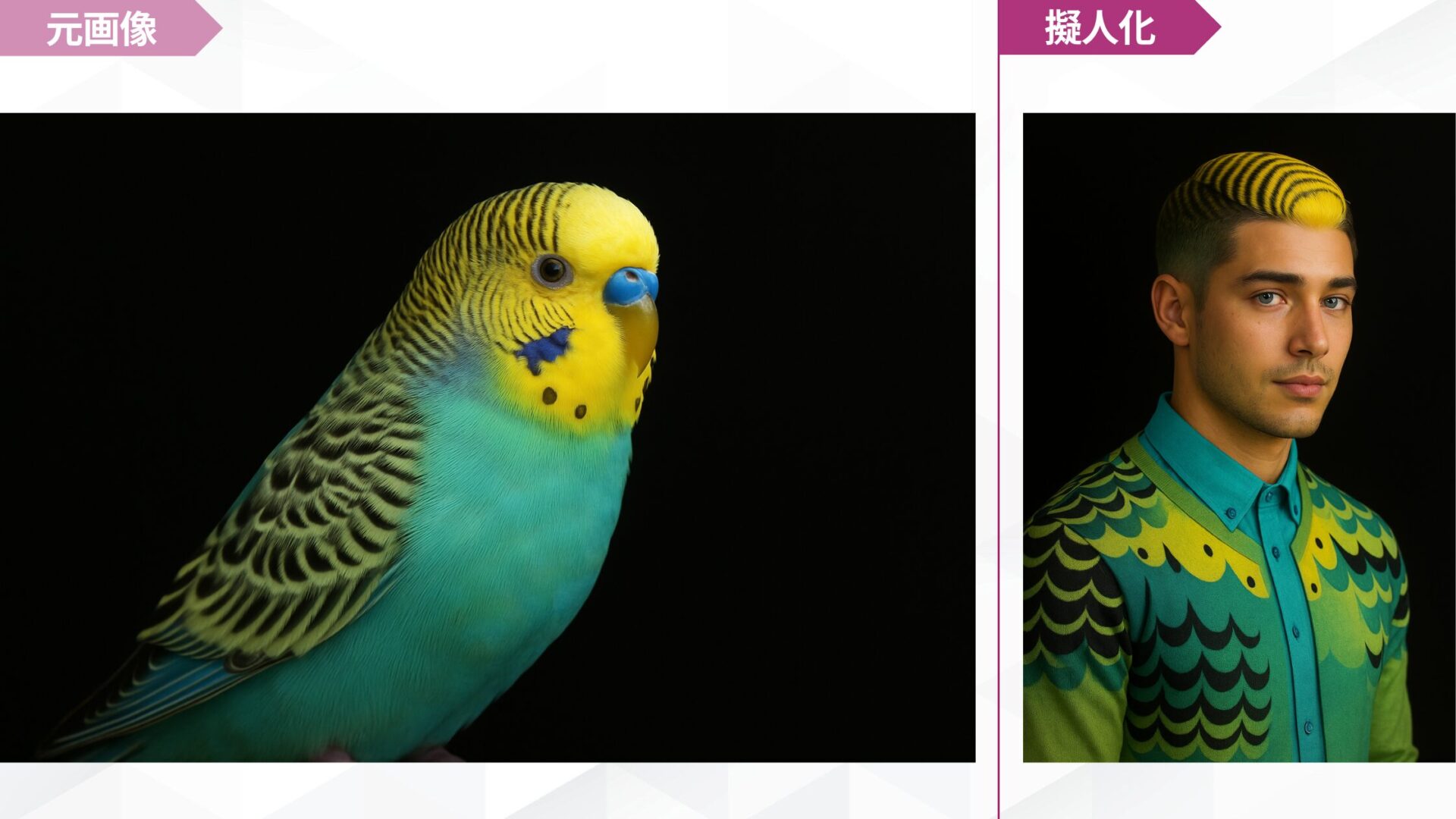 実際にペットの擬人化画像をChatGPTで作成してみた！(インコを擬人化)