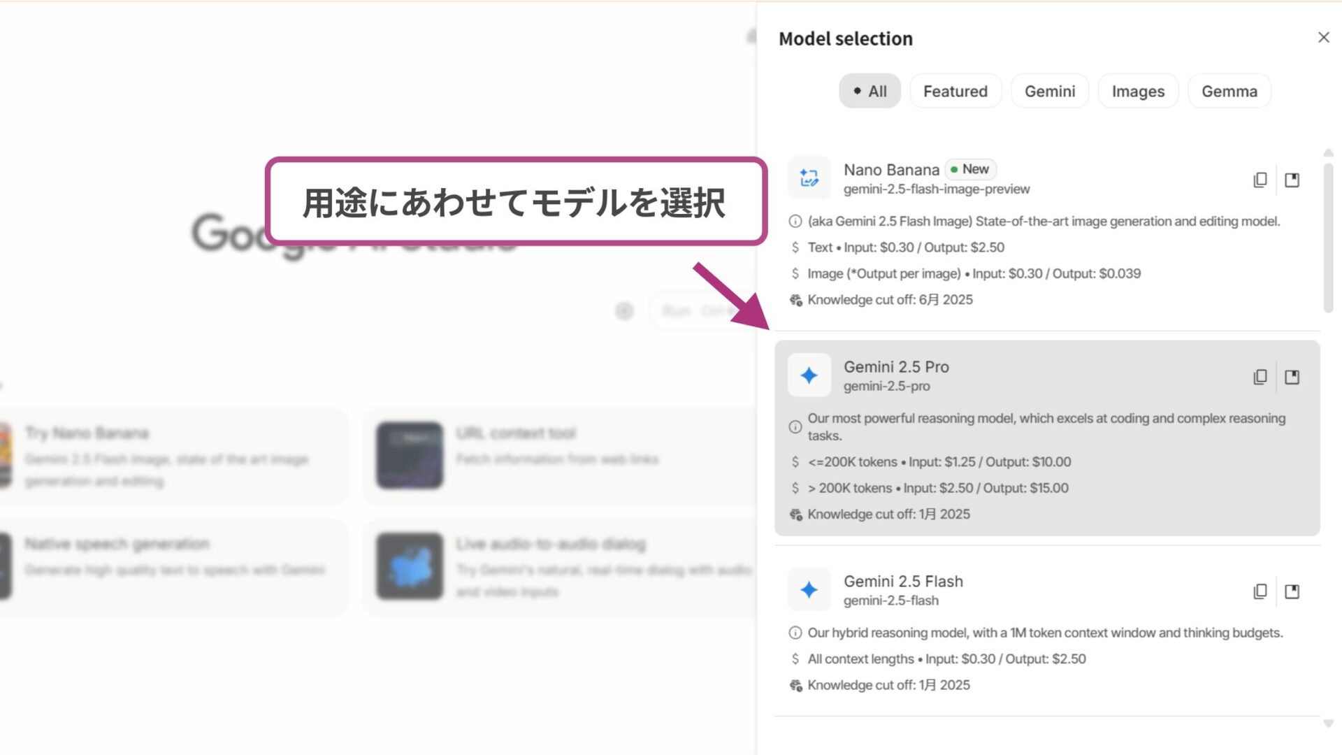 Google AI StudioとGeminiの使い方(Google AI Studioの使い方-Step2モデルを選択する)