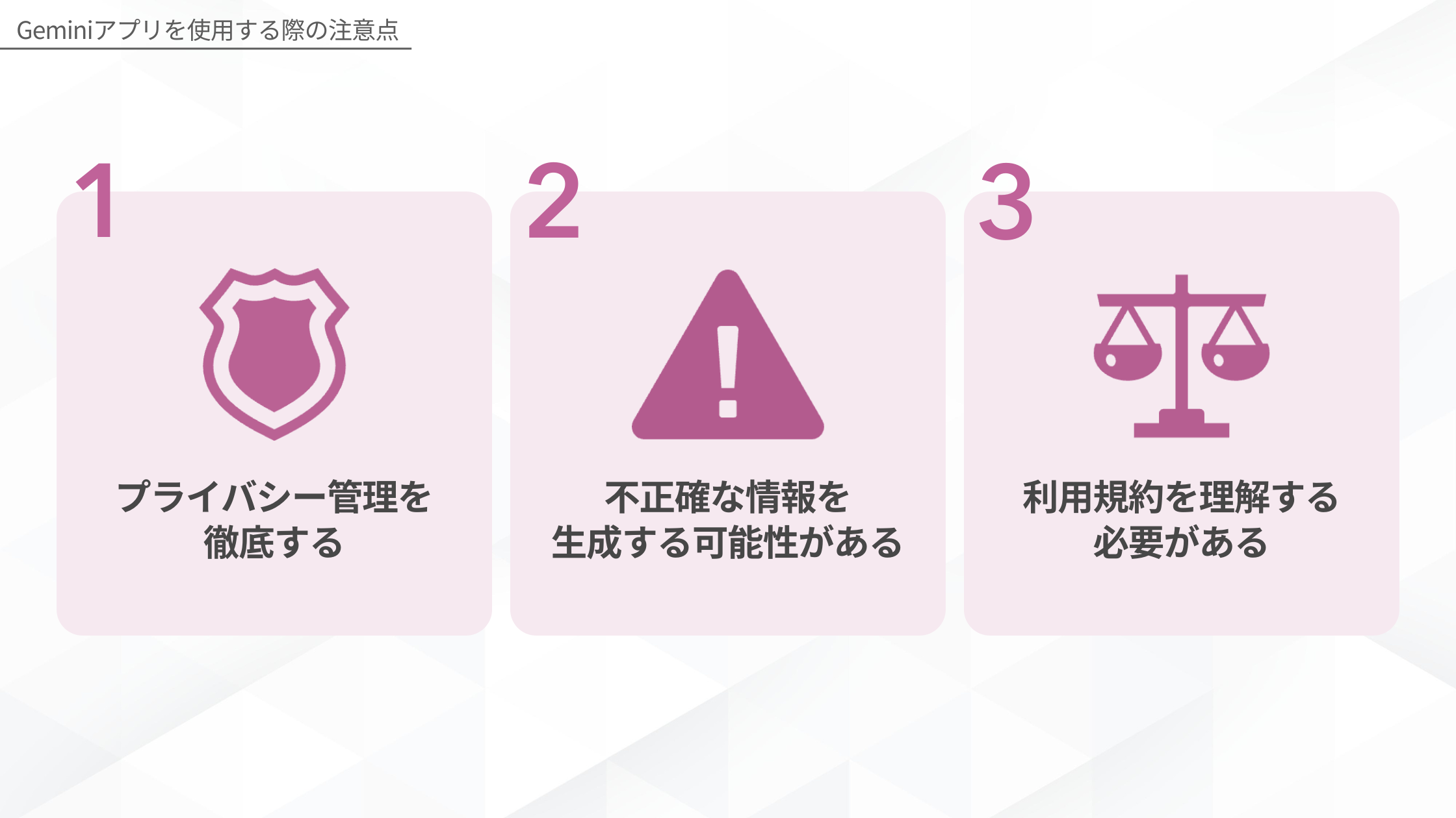 Geminiアプリを使用する際の注意点(プライバシー管理を徹底する/不正確な情報を生成する可能性がある/利用規約を理解する必要がある)