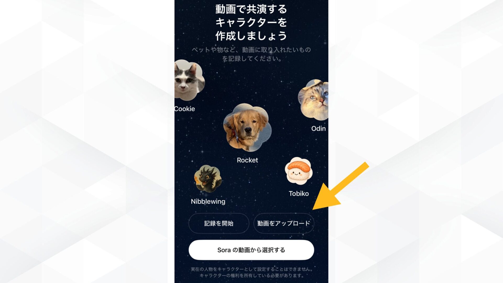 Sora2(Soraアプリ)のキャラクターカメオ機能でキャラクターを追加する画面のスクリーンショット