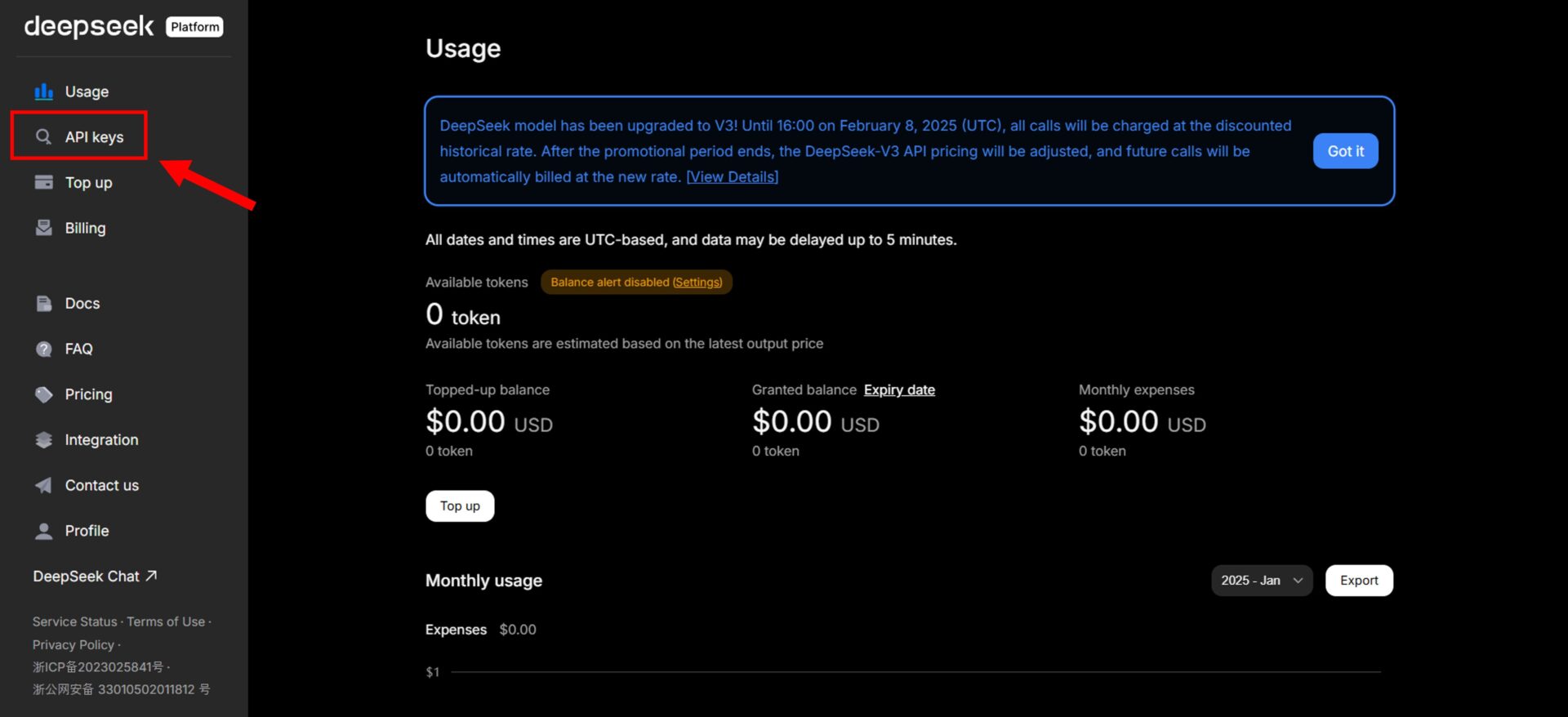 DeepSeekの使用状況画面