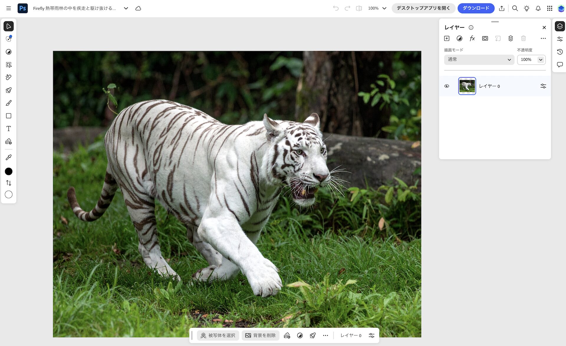 AdobeFireflyで生成した画像をPhotoshopで編集している画像