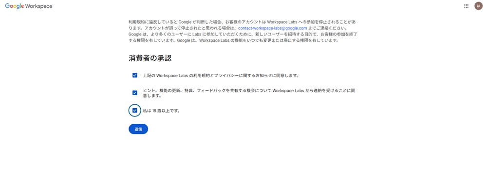 Google Workspace Labsの登録画面下部にあるチェックボックス
