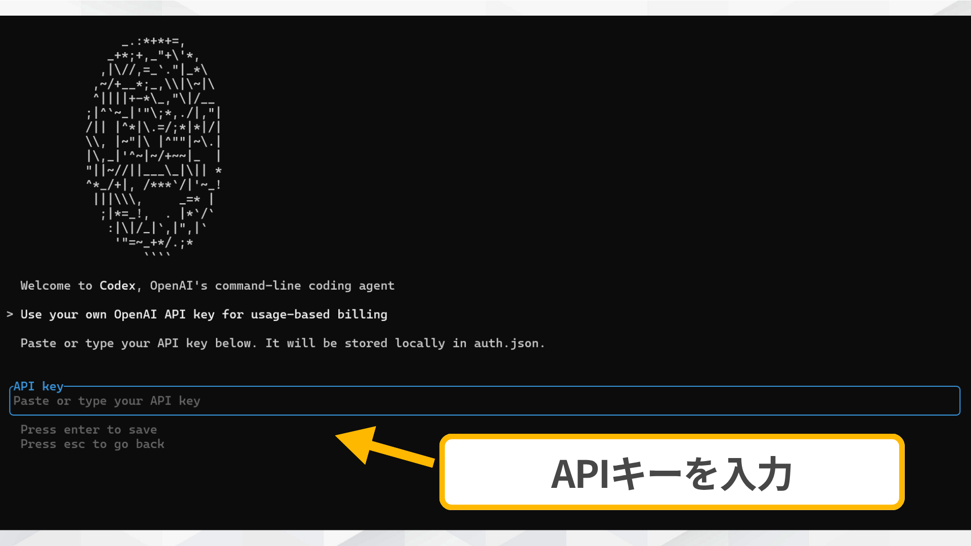 export OPENAI_API_KEYコマンドでAPIキーを環境変数に設定している画面