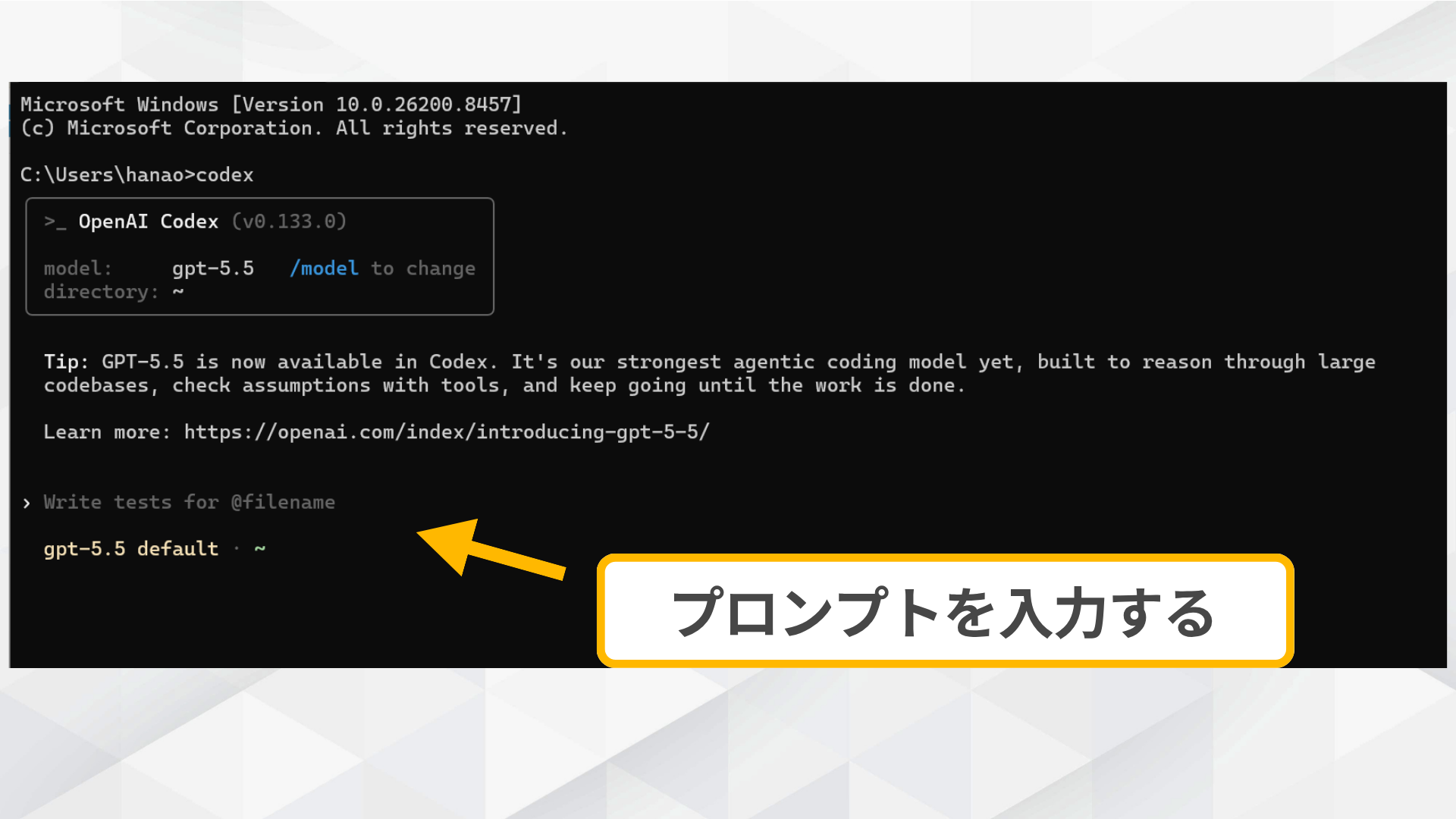 Codex CLIのインタラクティブセッションが開始されプロンプトが表示された画面