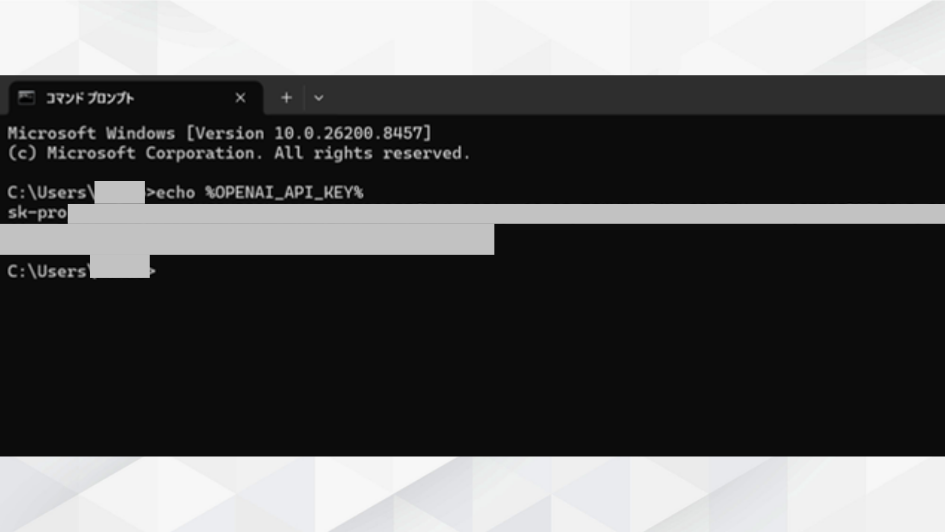 Windowsのコマンドプロンプトでecho %OPENAI_API_KEY%を実行し、APIキーが表示された画面