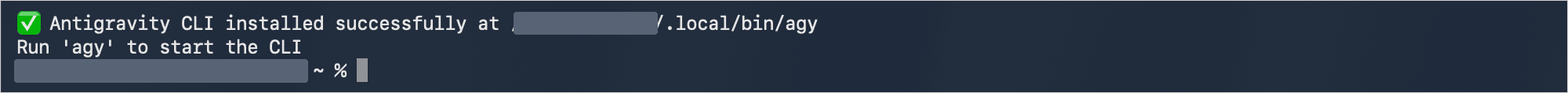 Antigravity CLI installed successfully at .local/bin/agyとRun 'agy' to start the CLIが表示されたターミナル画面