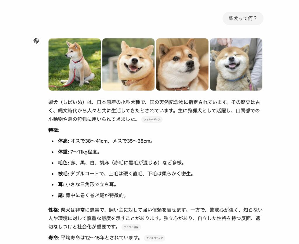 ChatGPT searchを強制的に起動している画像