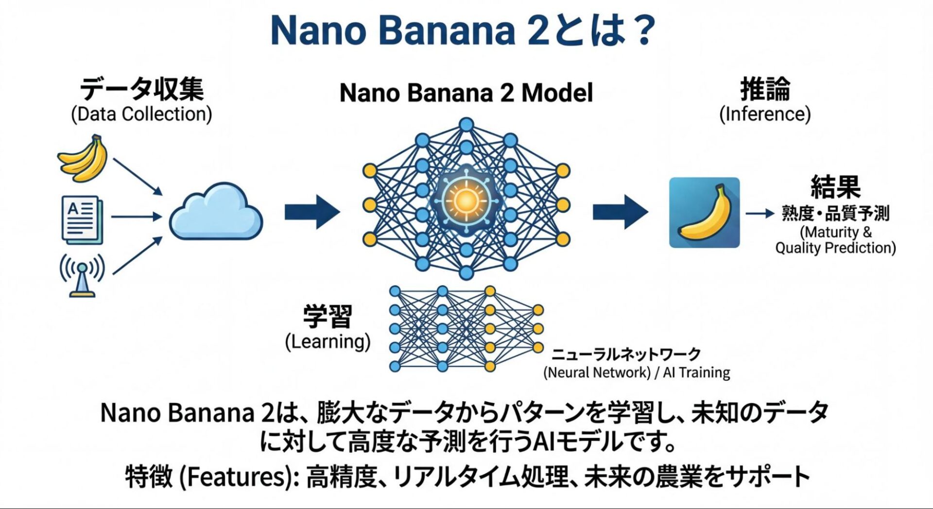 Nano Banana 2のAIモデル構造。データ収集からニューラルネットワークによる学習を経て、熟度や品質予測の結果を導く流れ。
