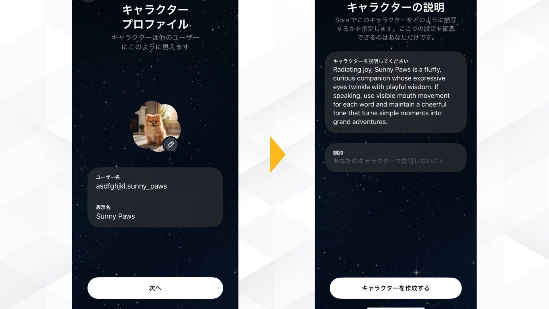 Sora2(Soraアプリ)のキャラクターカメオ機能で表示されるキャラクターの設定のスクリーンショット