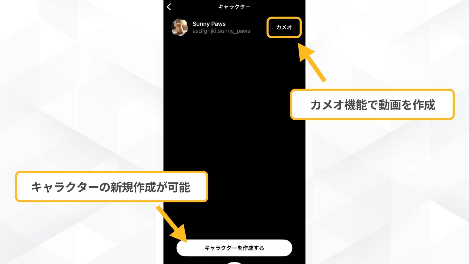 Sora2(Soraアプリ)のキャラクターカメオ機能に登録したキャラクターの詳細画面のスクリーンショット